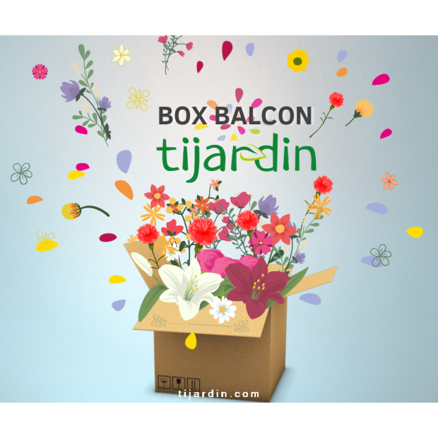 Box balcon