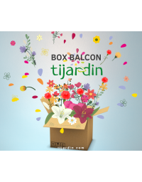 Box balcon 4 saisons (4 colis par an)