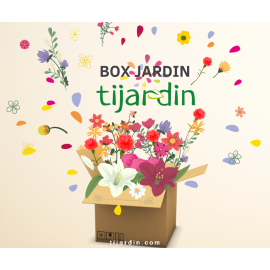 Box jardin 4 saisons (4 colis par an)