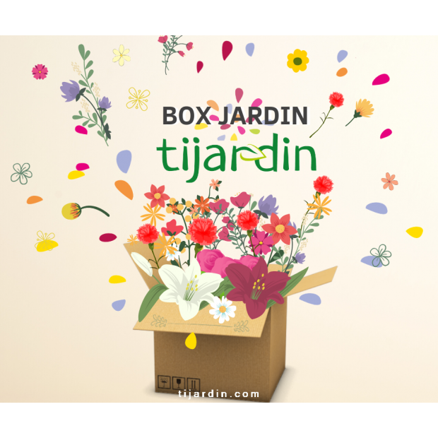 Box jardin