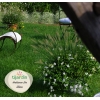 Pack 'prêt a planter' Taille S