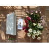 Pack 'prêt a planter' Taille M