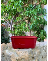 Petite jardinière à poser - Chapelu