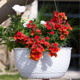 Vente Jardinière Corsica Flower Bridge, Balconnière, Pot suspendu