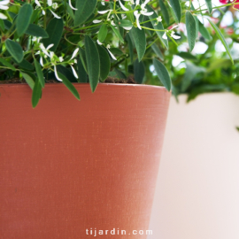 TIJARDIN : jardinière Corsica Flower Bridge, Pot coloré pour balcon