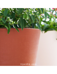 Cache pot "Zante" effet terre cuite qualité premium - 6L Ø25 cm