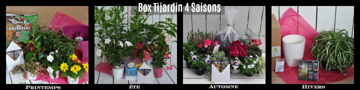 Box Tijardin 4 Saisons