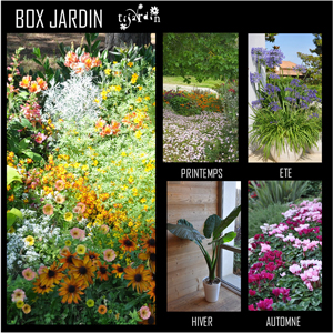 Box 4 saisons Tijardin Jardin