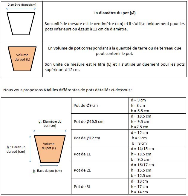 Comment bien choisir la taille d'un pot de fleur ? - Gamm vert