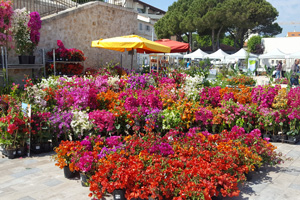 Stand tijardin sur le salon d'Antibes