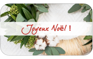  JOYEUX NOËL