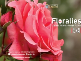 Tijardin au Salon des Plantes, Fleurs et des Jardins d'Antibes du 19 au21 Mai