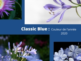 La couleur Pantone 2020 est Classic Blue !